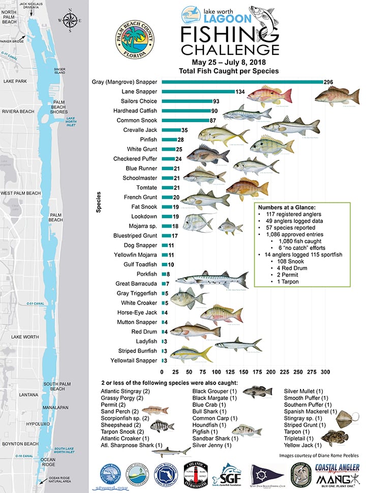 Florida Fishing Seasons  Fish Caught by Month Infographic