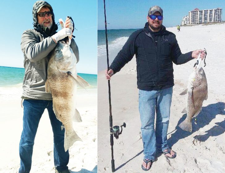 Dave Carlson Sr. and Dave Carlson Jr. from the Upper Peninsula of Michigan both caught these giant Black Drum while on spring break at Johnson Beach.