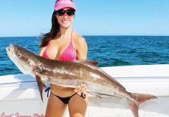 Luiza shows off a beautiful cobia. Catch more about this amazing lady angler at: www.fishingwithluiza.com