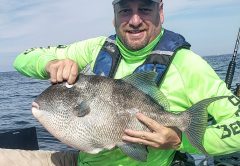 Barrett Fine with a 10.3 lb. triggerfish caught off Navarre, FL.