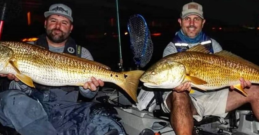 Brandon Barton and Benton Parrott doubled up with a couple of nighttime bull reds.