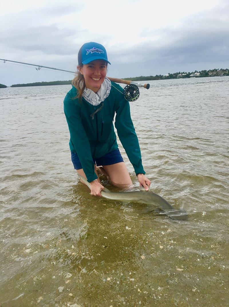 Inshore Sharks on Fly