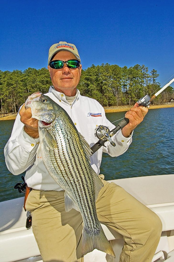 World Class Striper Fishing on Lake Murray By Mike McSwain Coastal