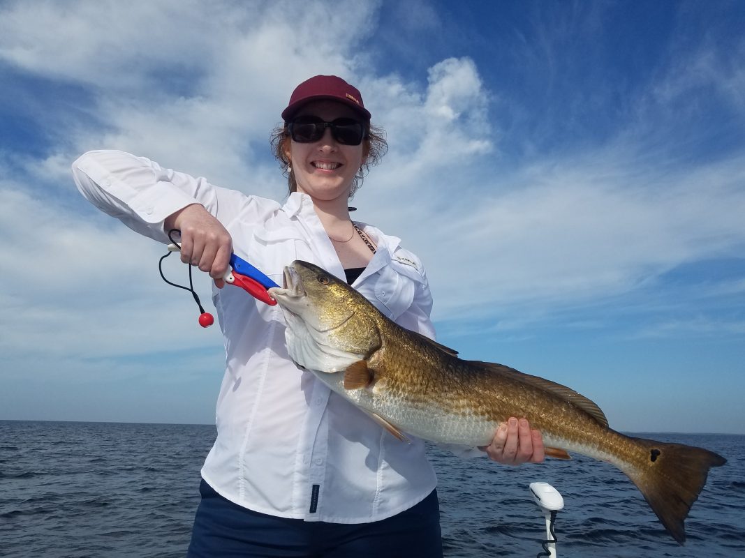 St. Marks June Fishing Report Coastal Angler & The Angler Magazine