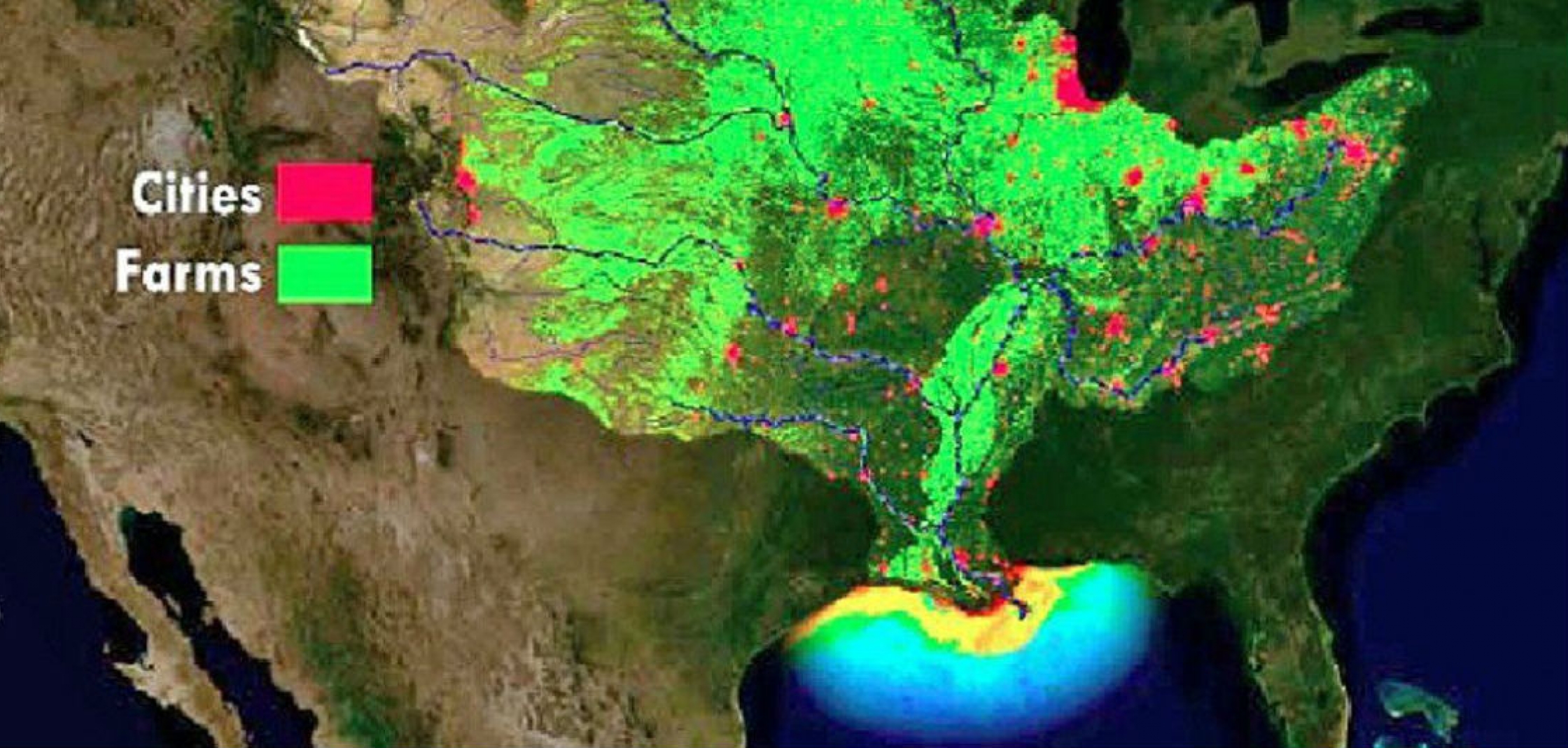 noaa-forecasts-very-large-dead-zone-for-gulf-of-mexico-coastal