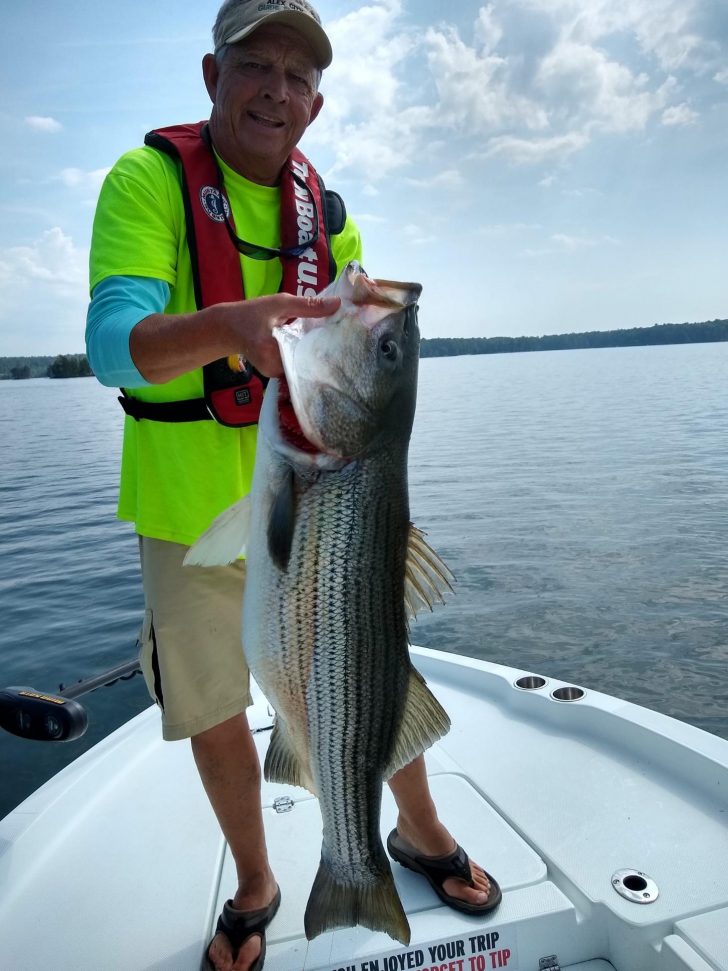 40 + lber caught by Capt David Hare while scouting on Lake Martin 5/23/19 