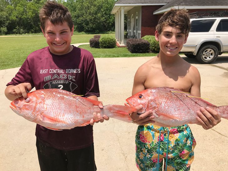 Teen brothers catch tagged red snappers back to back