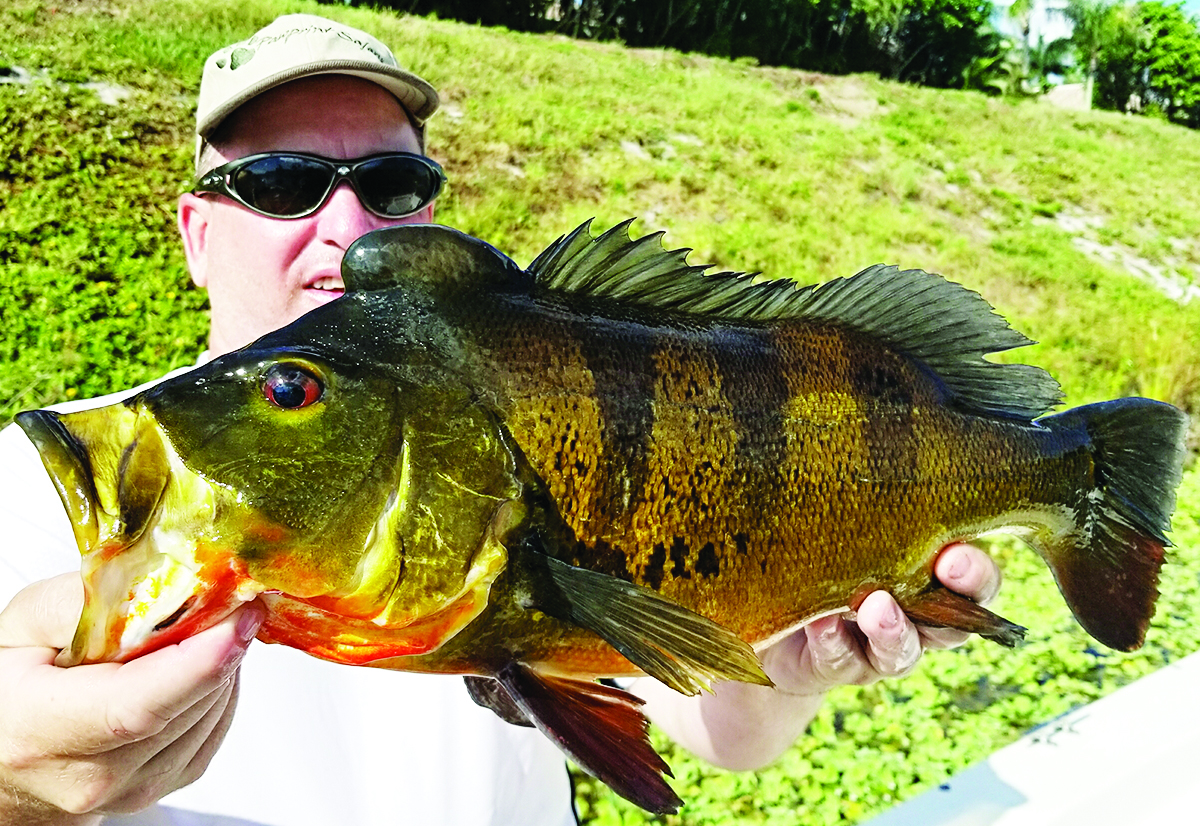 Point Pearce Fish South County Inshore & Freshwater July 2019 - Coastal Angler & The ...
