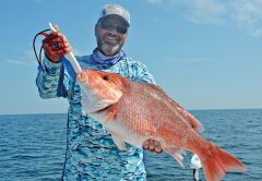 Capt. C-note with a fine snapper caught nearshore with a Speed Drop rig and a nose-hooked live cigar minnow.