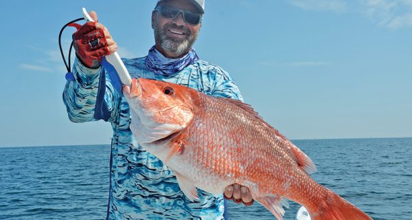 Capt. C-note with a fine snapper caught nearshore with a Speed Drop rig and a nose-hooked live cigar minnow.