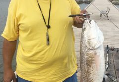 George Hill shows off a nice redfish caught across the street from Ft Gaines.