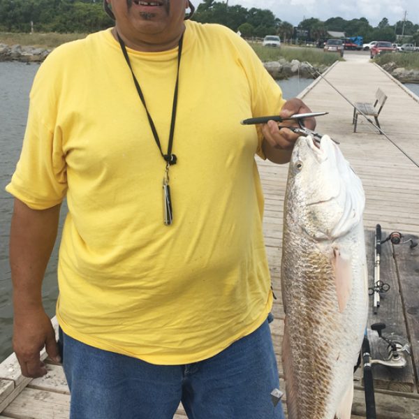 George Hill shows off a nice redfish caught across the street from Ft Gaines.