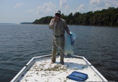 St. Johns Fishing Report