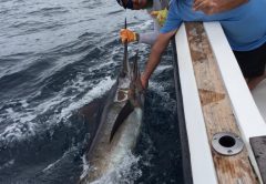 Costa Rica Fishing Report