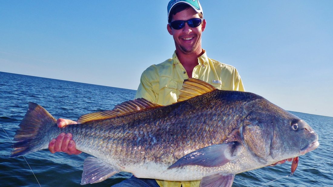 black-drum-north-florida-fishing-inshore-guide - Coastal Angler & The ...