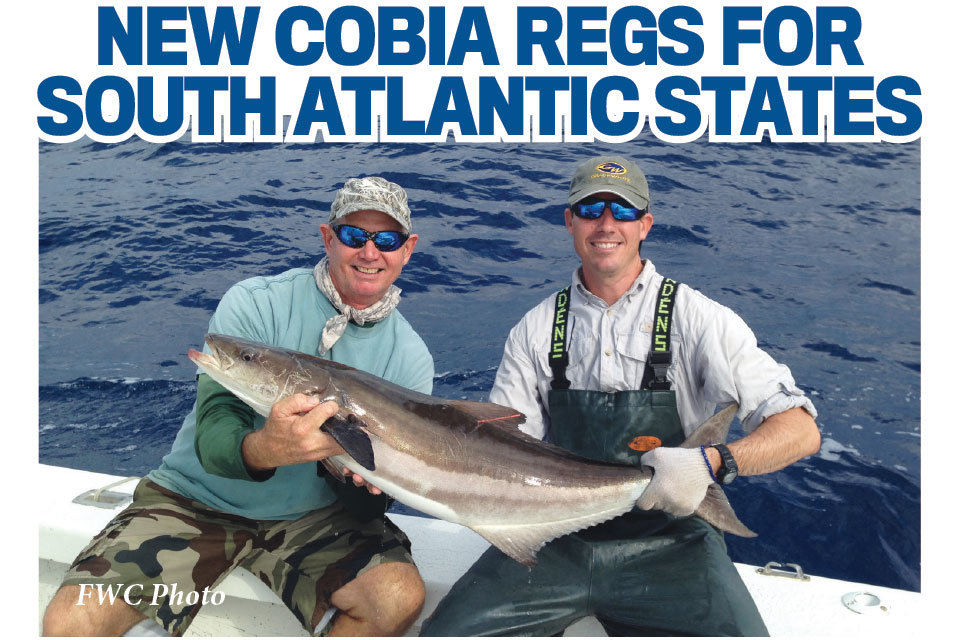 New Cobia Regulations for South Atlantic States Coastal Angler & The