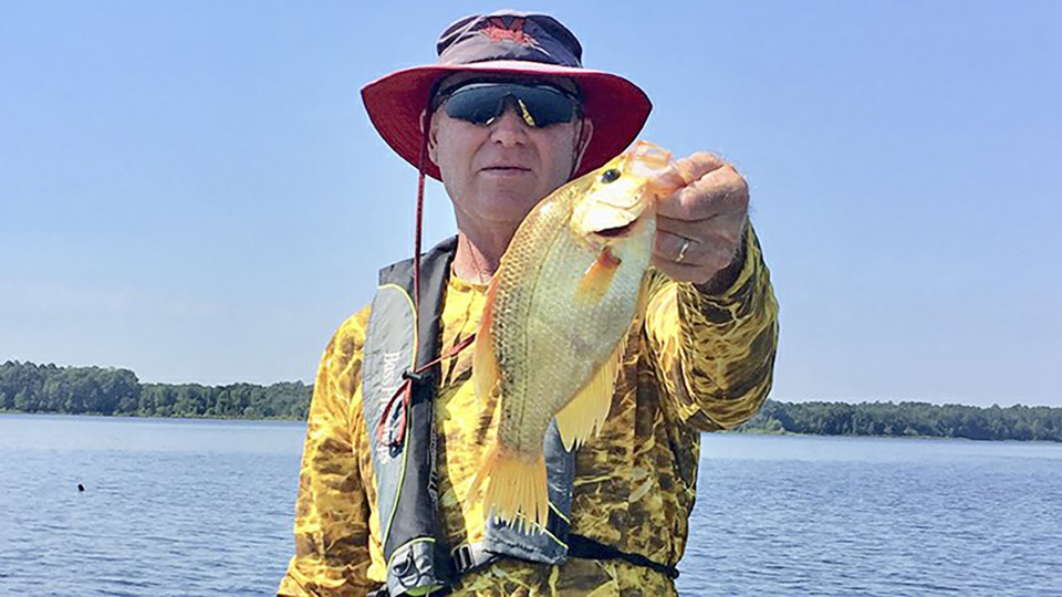 Golden Crappie Caught In Arkansas - Coastal Angler & The Angler