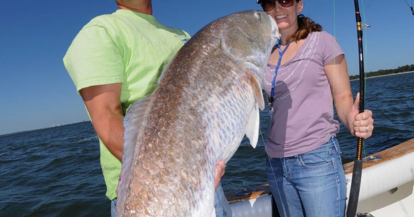 Fernandina Fishing Report