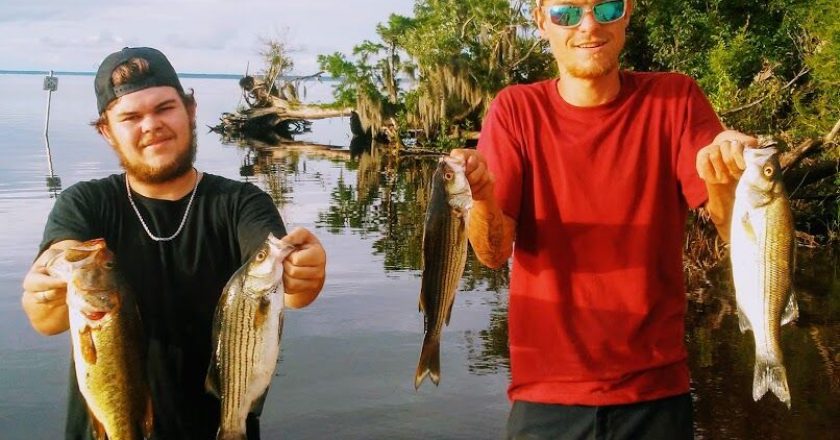 Central Florida Inland - September Fishing Report