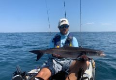 Benton Parton shows off a nice cobia caught from his Hobie kayak.