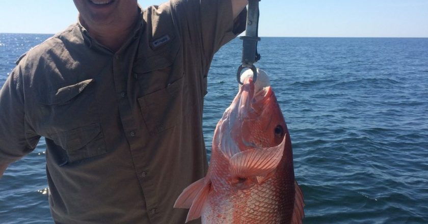 Chappy catching amazing red snapper while fishing with Underdog Charters.