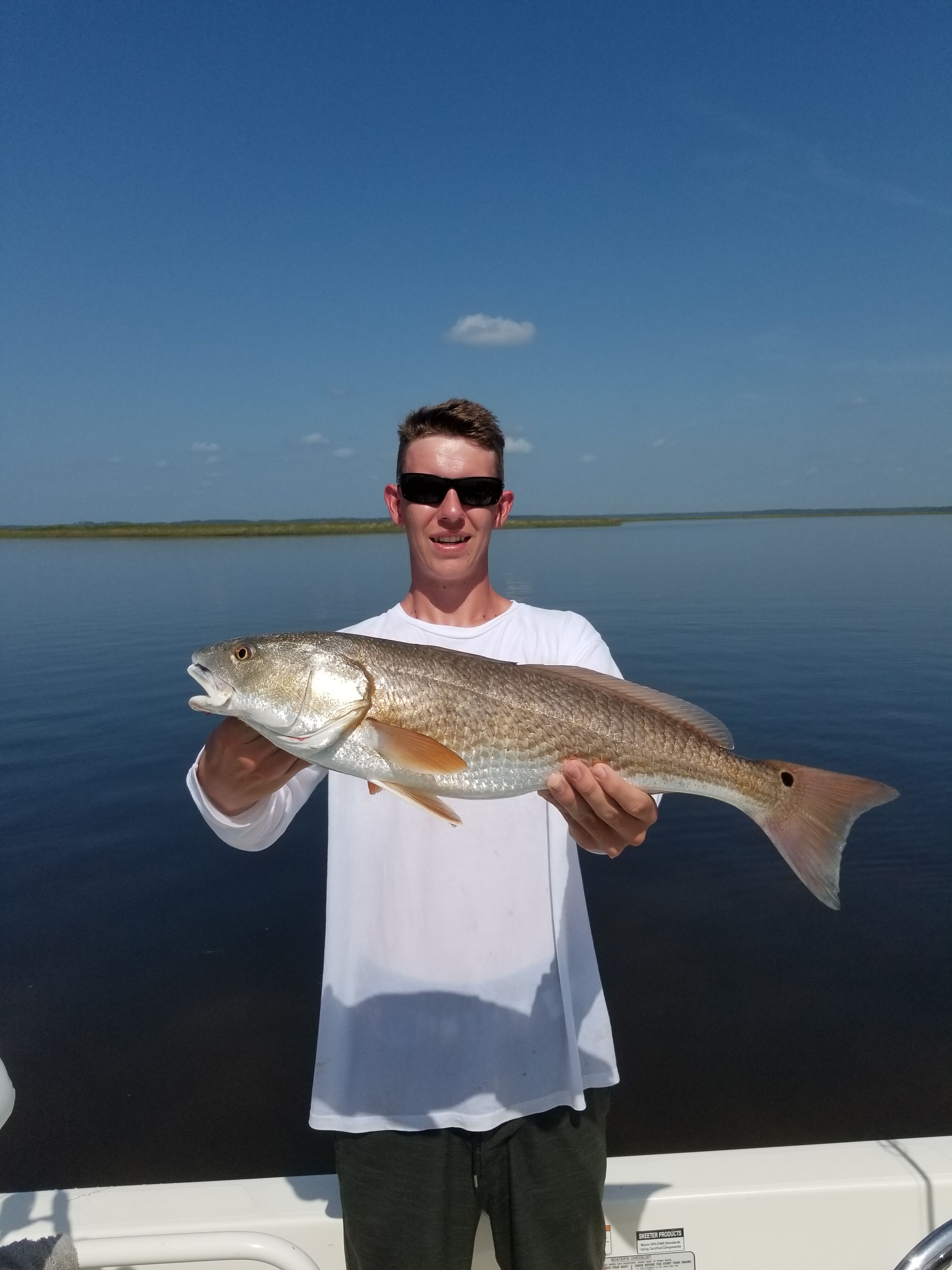 Big Bend Redfish