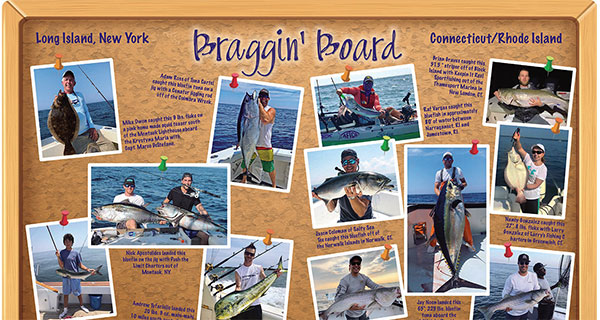 Making Sense of Fluke Teasers - Coastal Angler & The Angler Magazine