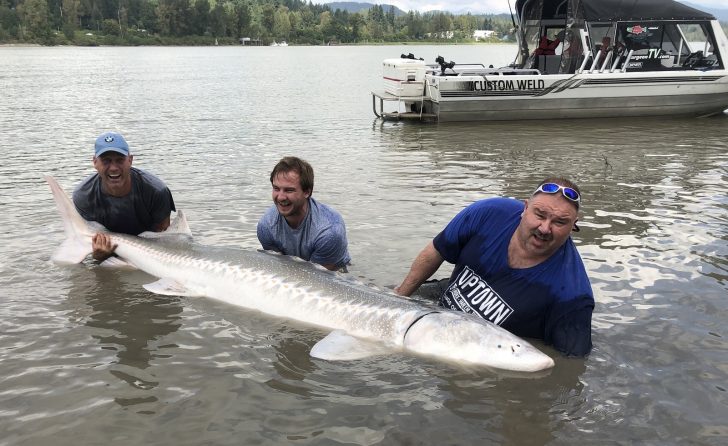 River Monsters from British Columbia - Coastal Angler & The Angler Magazine