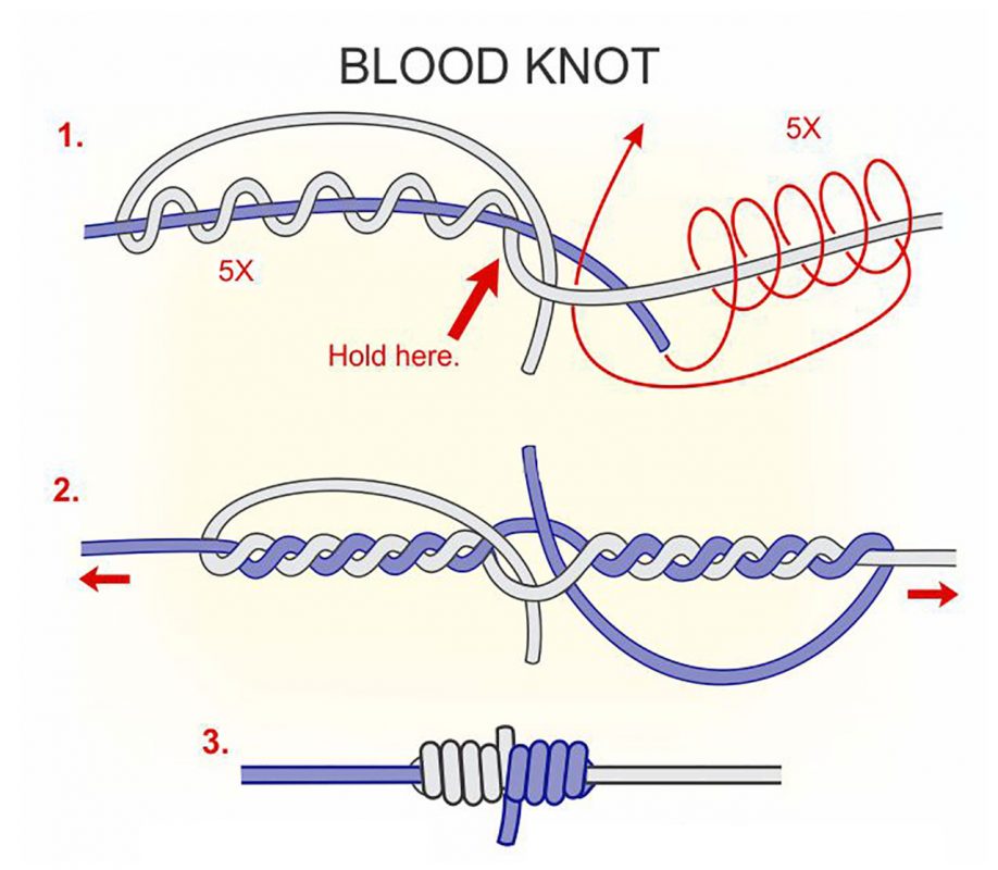 How to tie a blood knot
