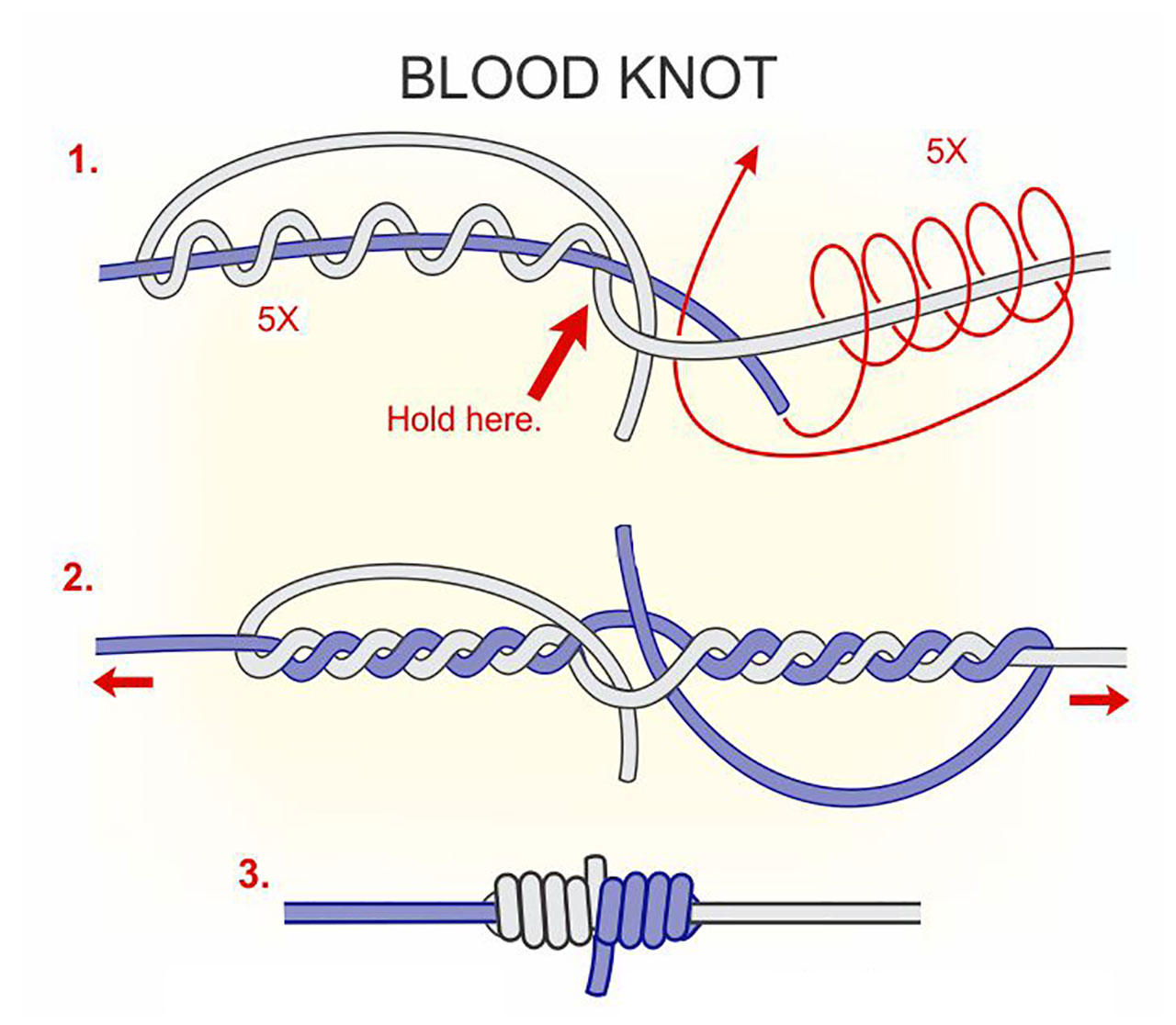 2 Fishing Knots Every Angler Should Know - Coastal Angler & The Angler ...