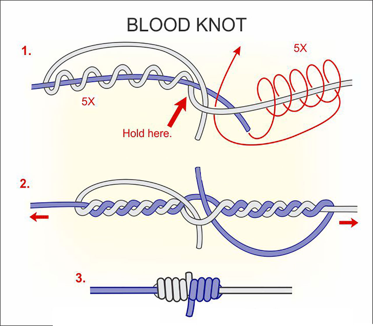 tie-a-blood-knot | Coastal Angler & The Angler Magazine