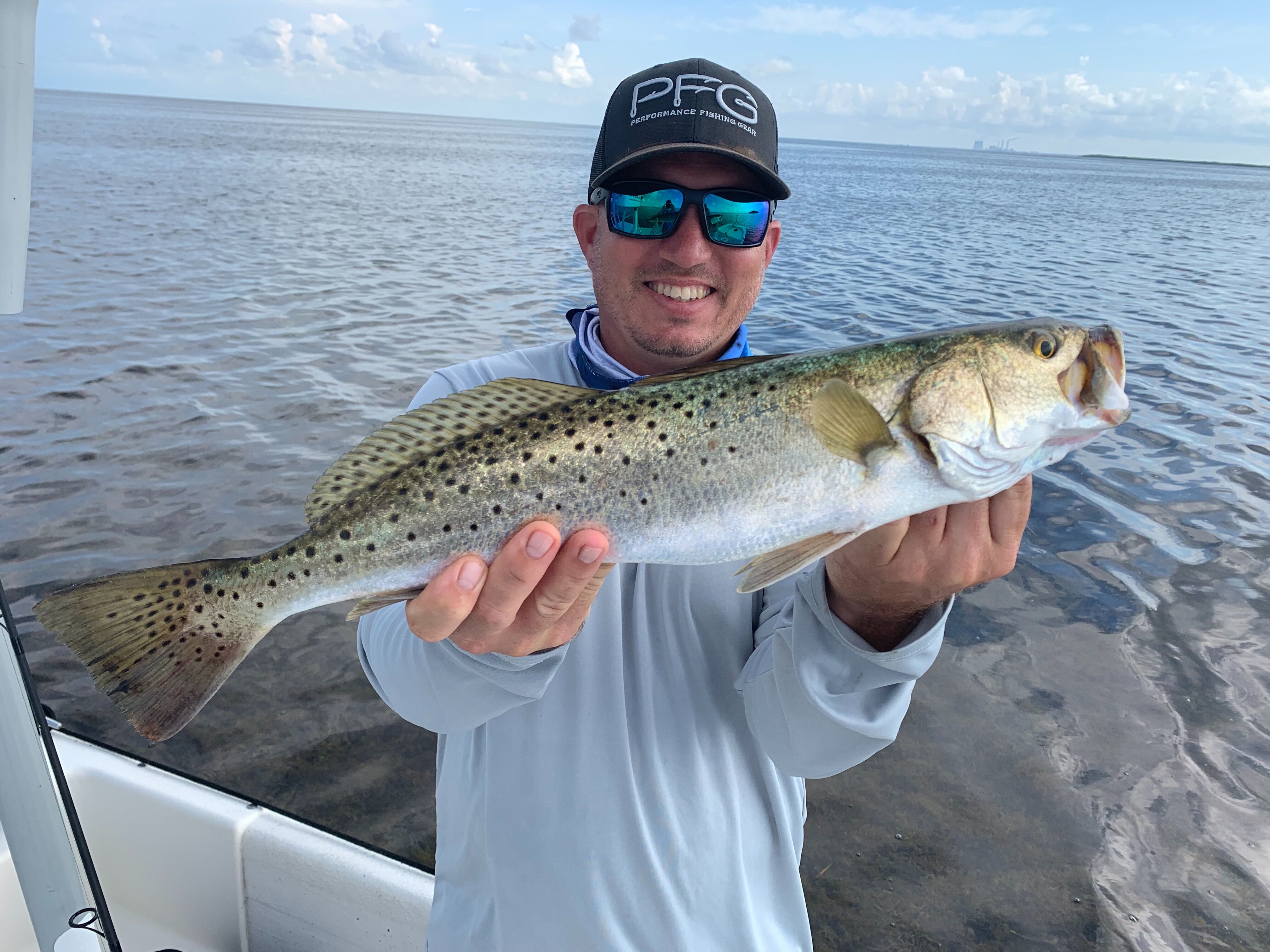 Solid Speckled Trout