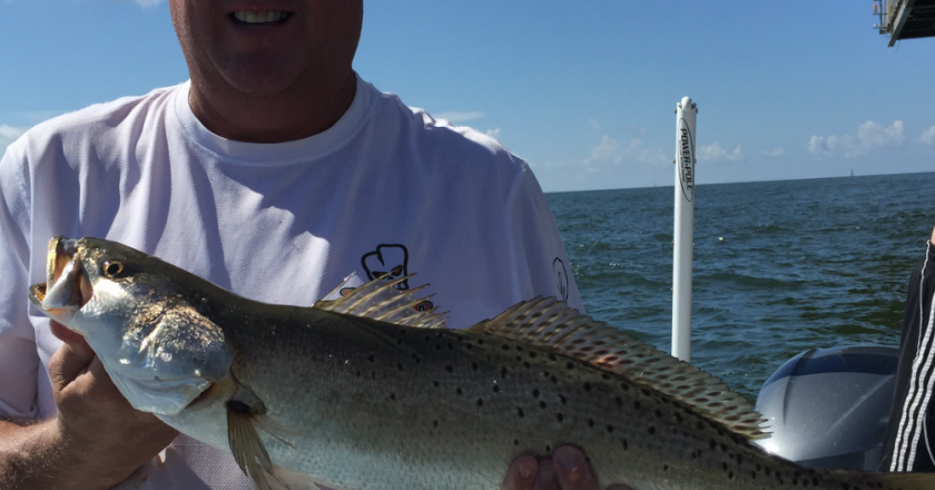 Capt. Charlie Grey of Grey Gulf Charters shows off a nice Speckled Trout fishing off of Dauphin Island.