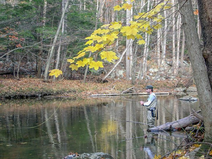 Fall Trout Fishing in New Jersey Coastal Angler & The Angler Magazine