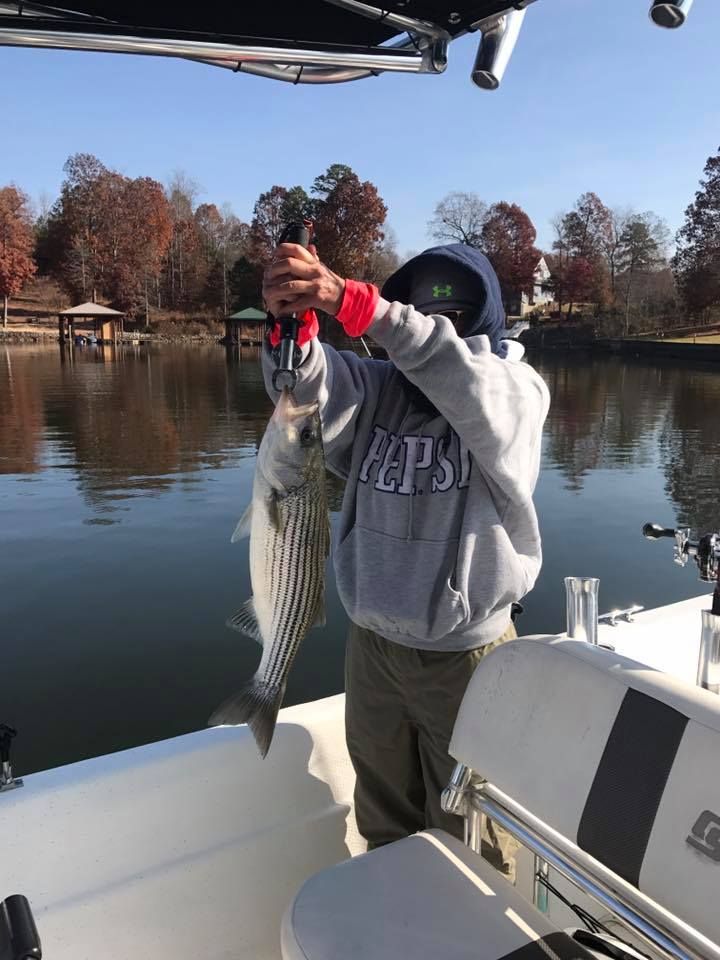 forecast-for-lake-hickory-rhodhiss-coastal-angler-the-angler-magazine