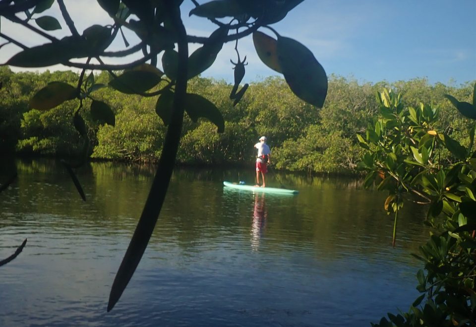 Four Mile Cove Coastal Angler & The Angler Magazine