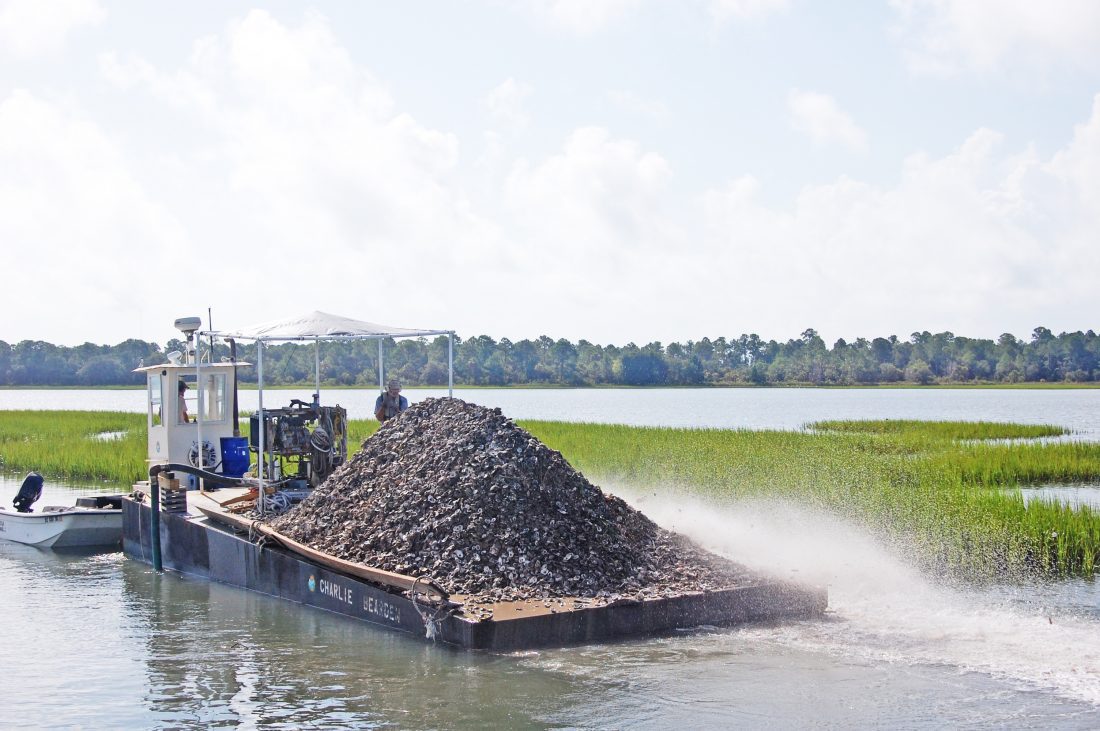 SCDNR Oyster Shell Recycling Program Coastal Angler & The Angler Magazine