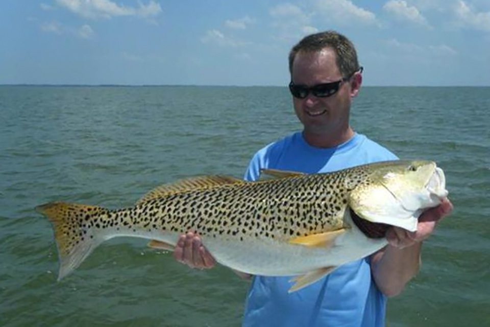 Why Redfish Might Have Multiple Spots