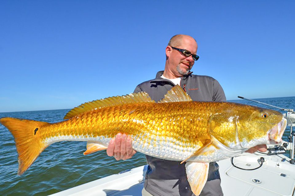 Fish School – Redfish - Coastal Angler & The Angler Magazine