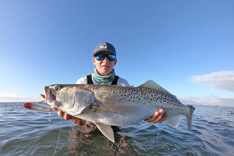 Saltwater: 'Gator-size' speckled trout being caught in Tampa Bay