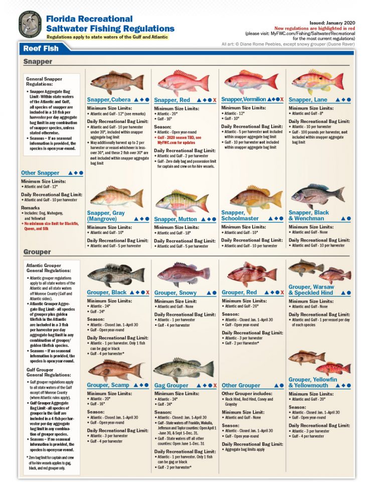 fishing regulations