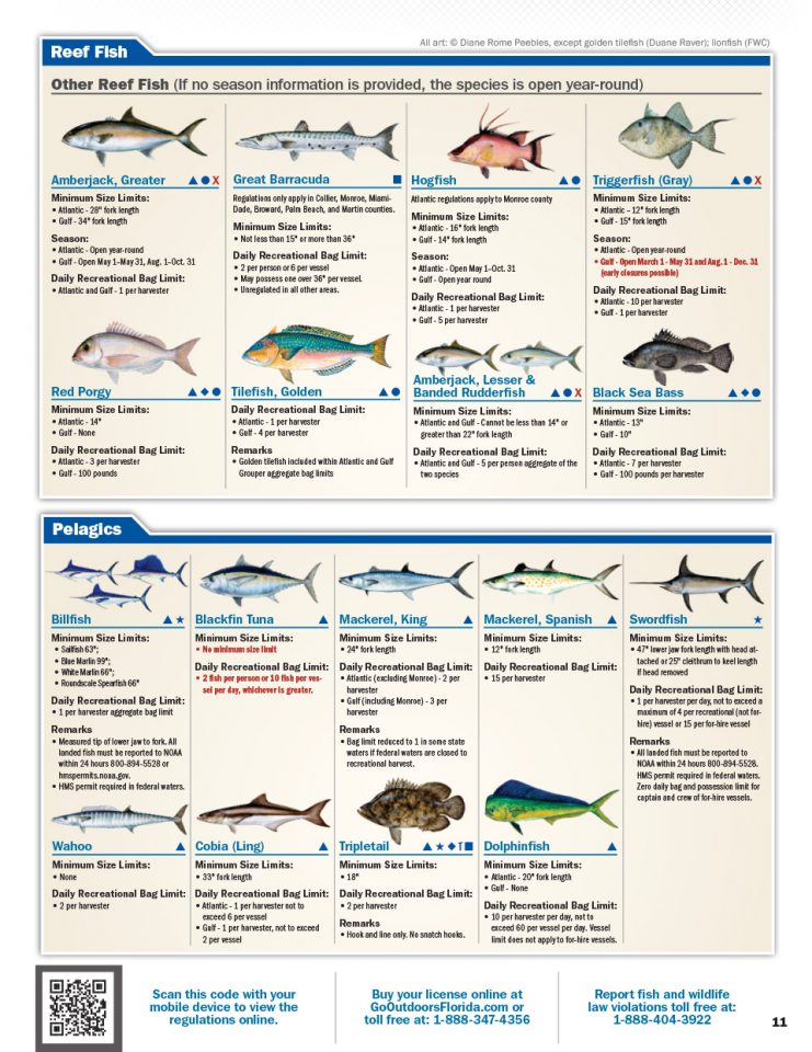 floridasaltwaterregulations2 Coastal Angler & The Angler Magazine
