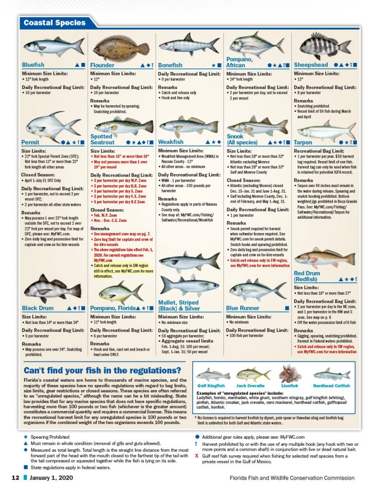 Florida Fishing License Requirement Unique Fish Photo