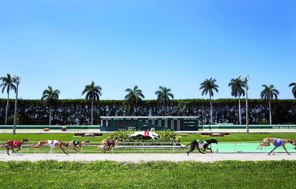 Is the palm beach kennel club poker room open house