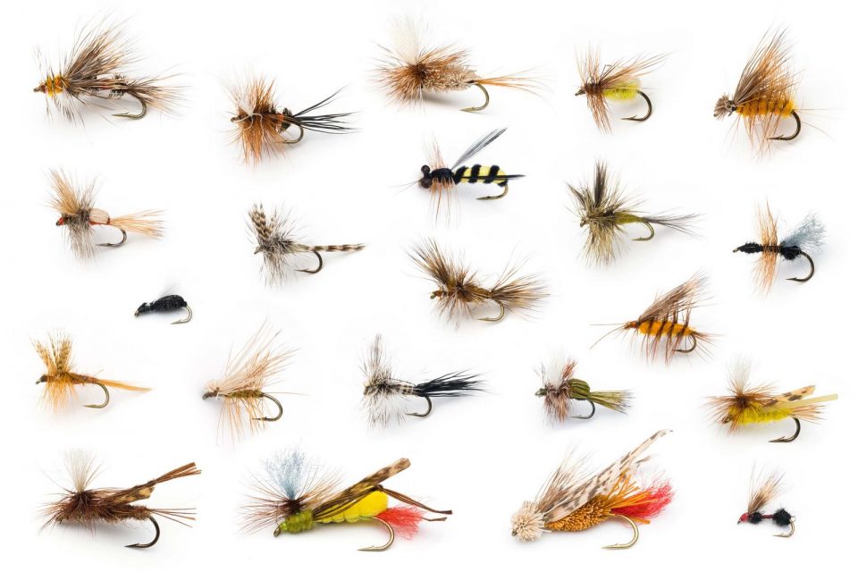 Little Brown Bugs: Fly Selection for People Who Can Never Find the ...