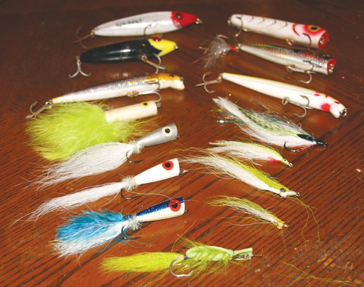Best Baits for Striped Bass of 2023, Tested and Reviewed