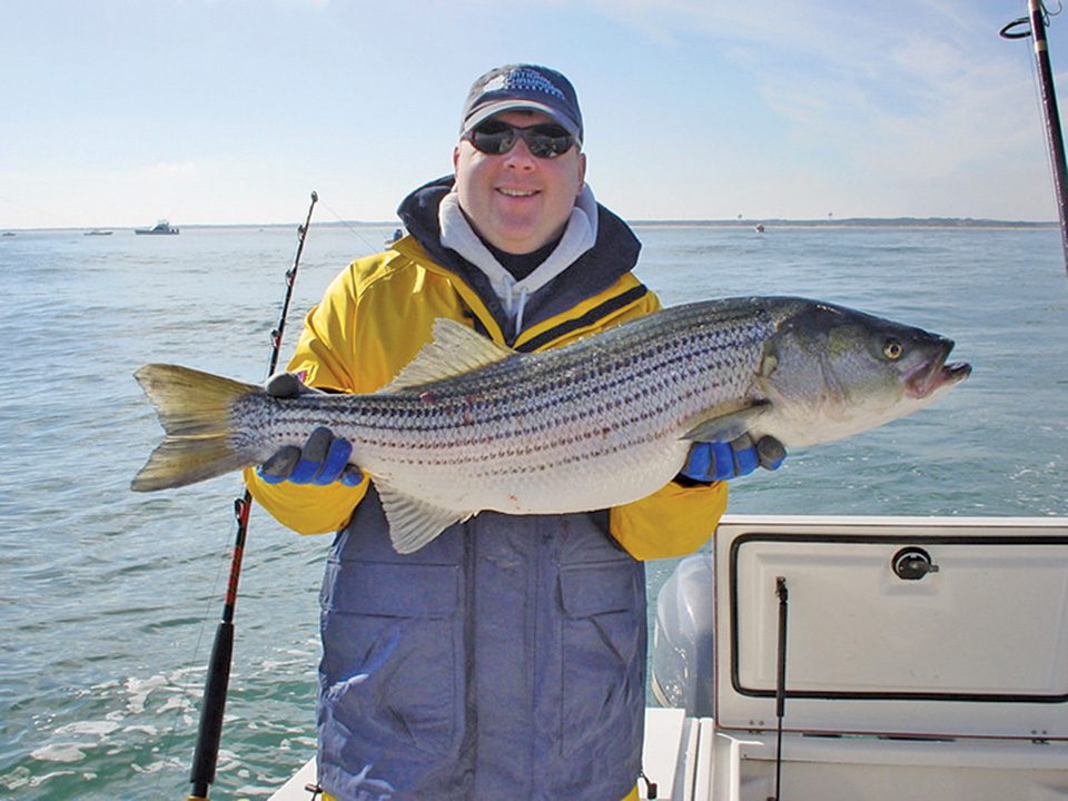 Maryland Deviates With Regs For Rockfish Coastal Angler & The Angler