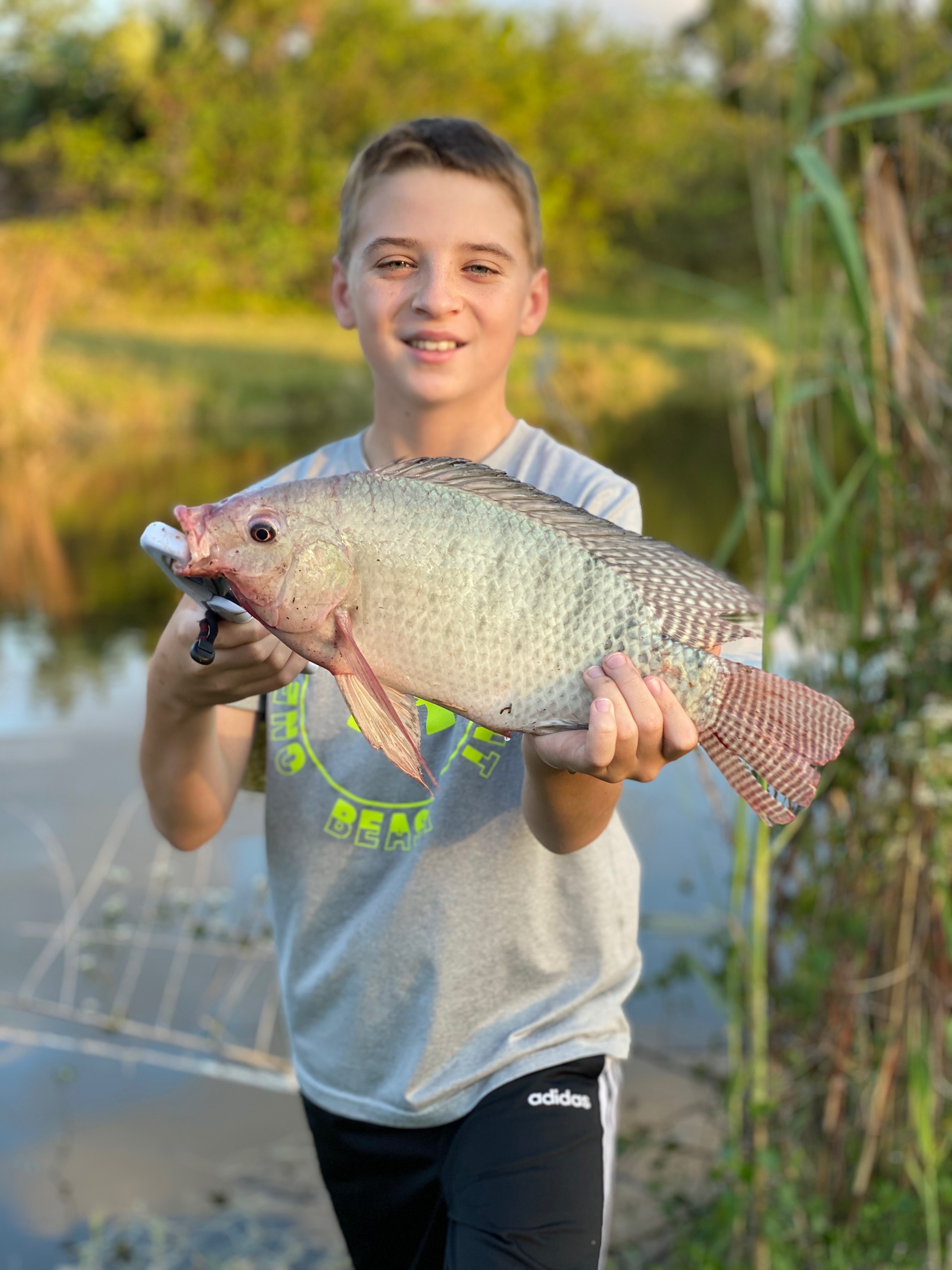 Is That Tilapia Safe? Expert Tips For Checking Freshness - gmfwc8u