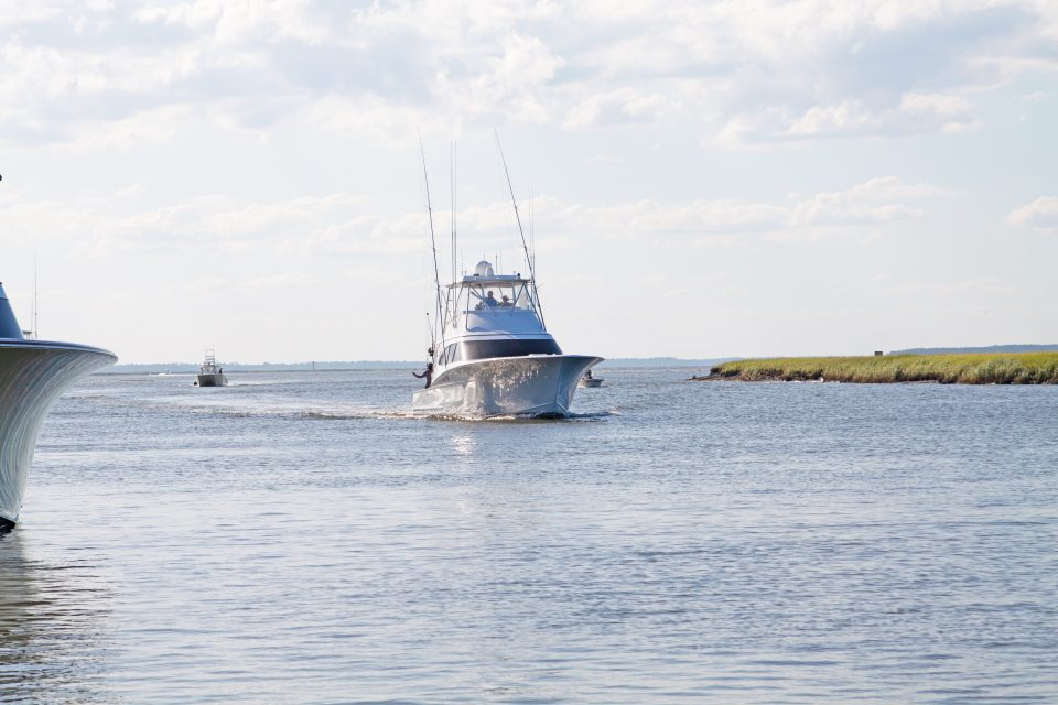 Edisto Invitational Billfish Tournament Good Close up Coastal Angler