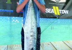 43.4lb Kingfish